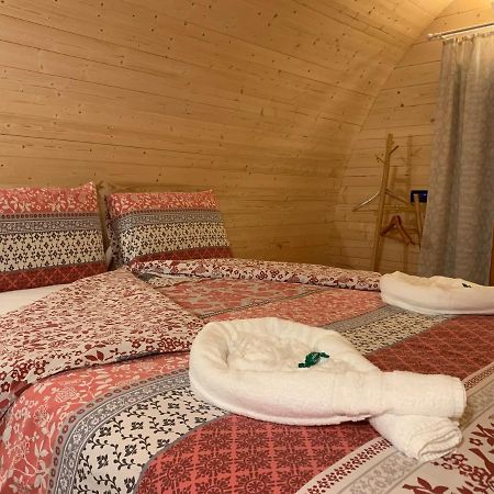 Piccadilly B&B 포르데노네 외부 사진
